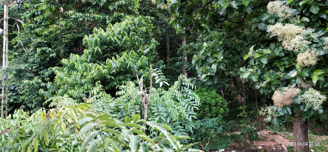 Floral Homestay テッカディ エクステリア 写真