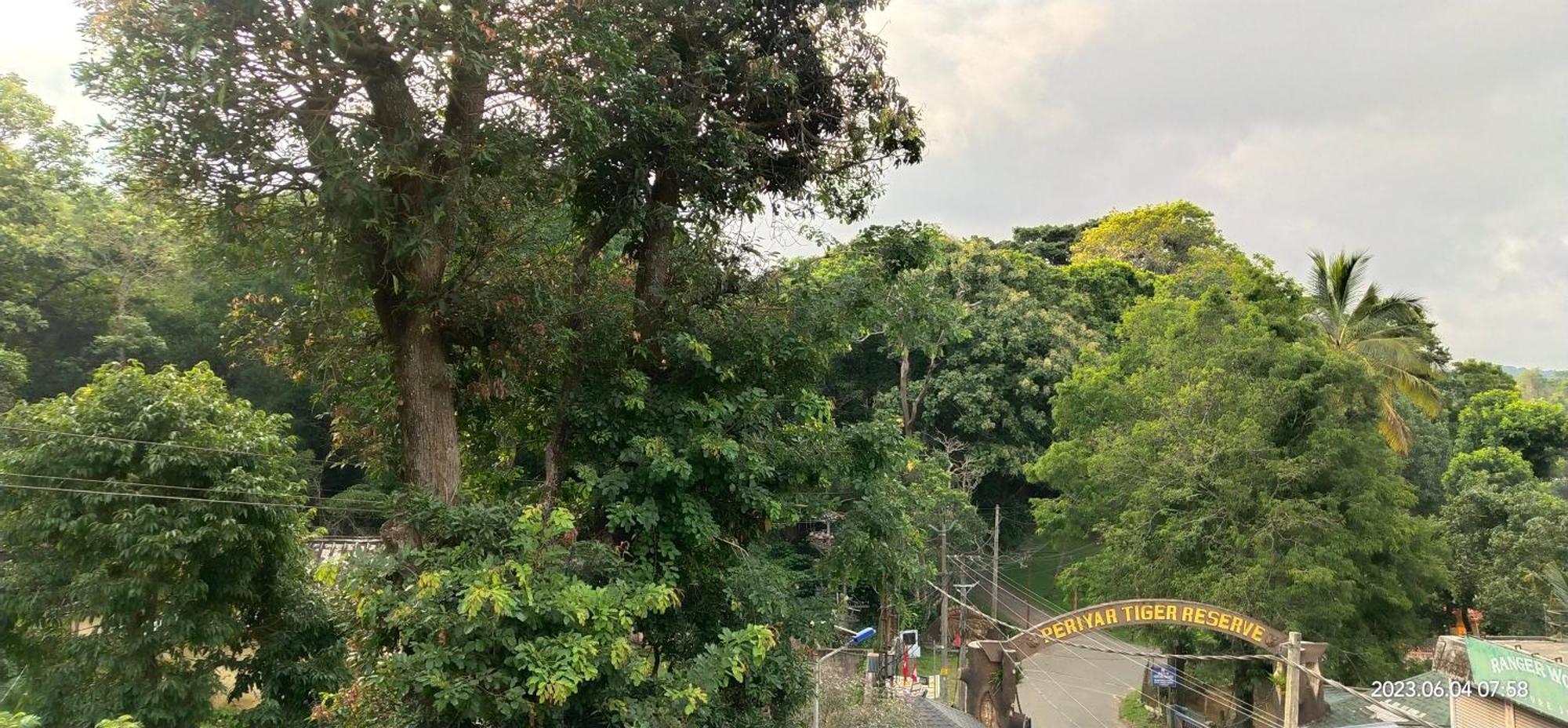 Floral Homestay テッカディ エクステリア 写真